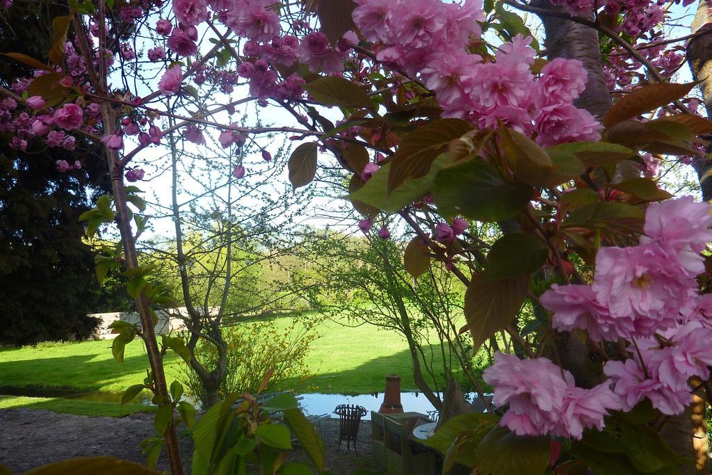 B&B Bloom Amesterdão Quarto foto